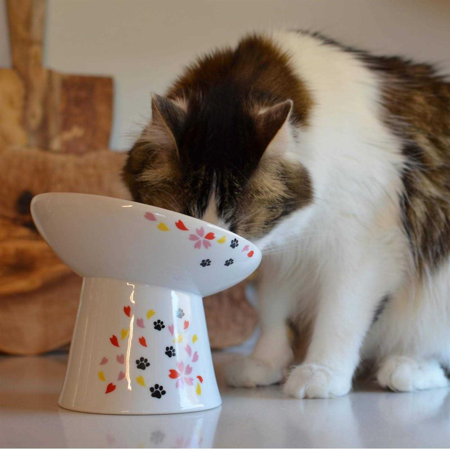 Extra Wide Raised Cat Food Bowl U331
