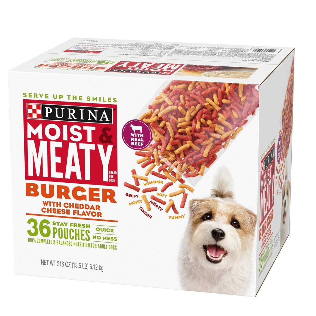 Burger with Cheddar Cheese Flavor Dry Dog Food W93798