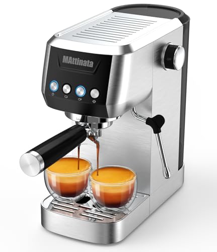 20 Bar Espresso Machine with Automatic Milk Frother E242