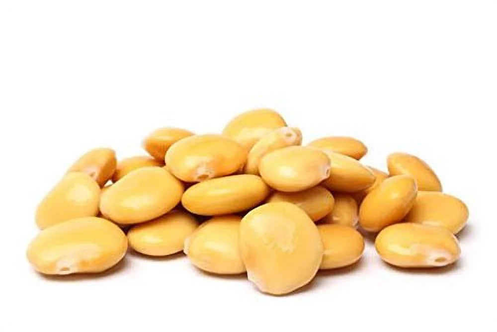 Ready To Eat Lupini Beans 32 OZ Jar Pack of 6 H278