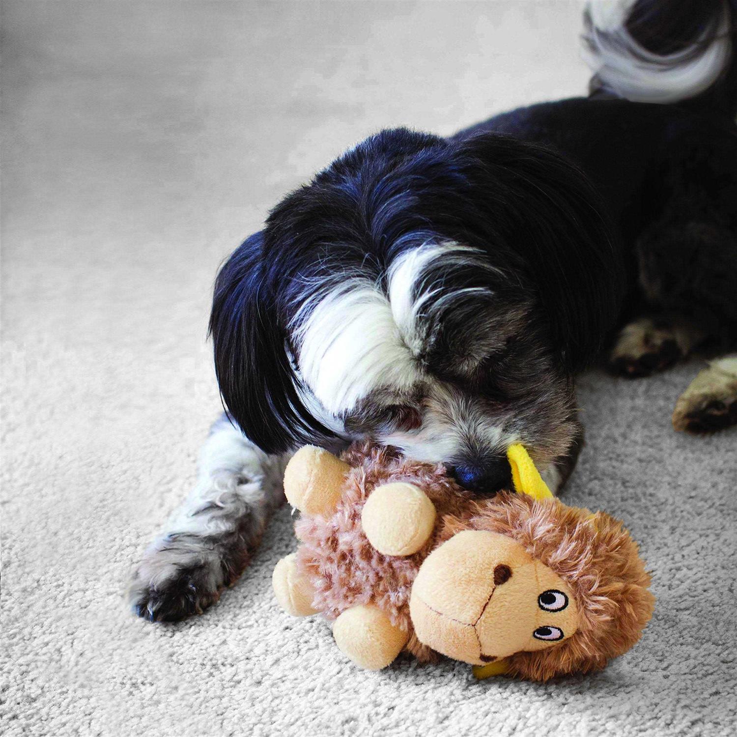 Pig Dog Toy V18856