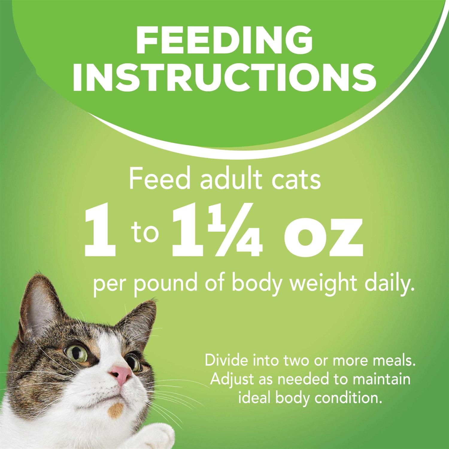 Indoor Wet Cat Food F948
