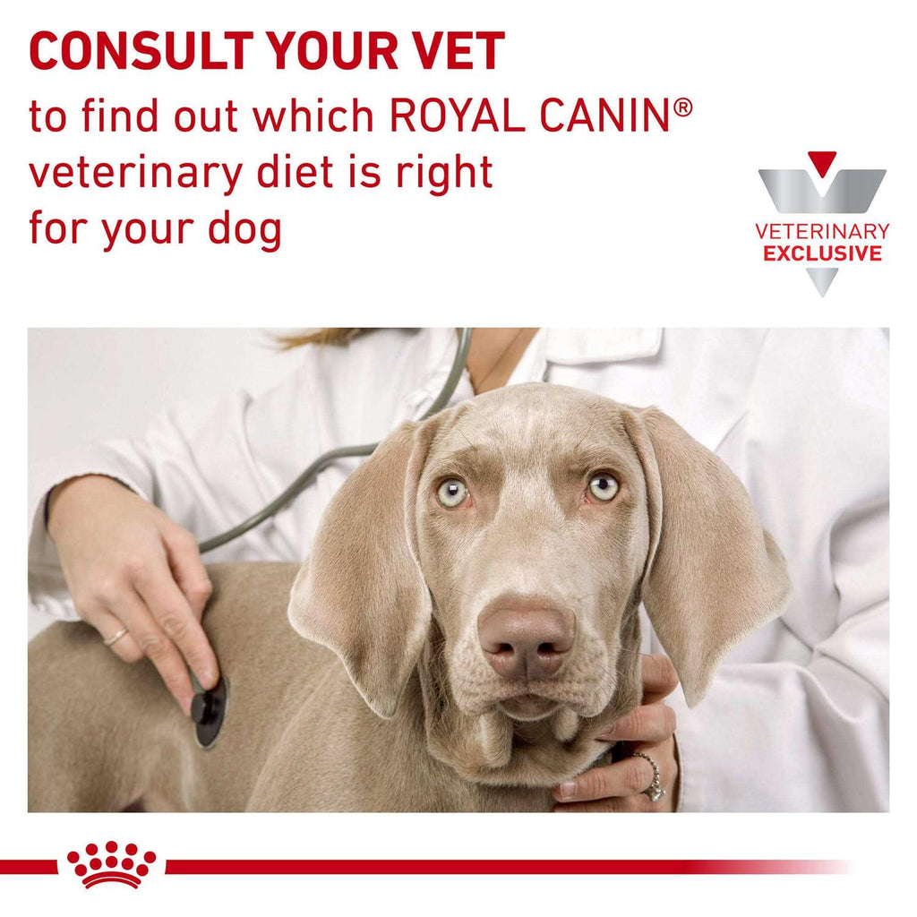 Veterinary Diet Canine Hydrolyzed Protein Adult PS Dry Dog Food G61904