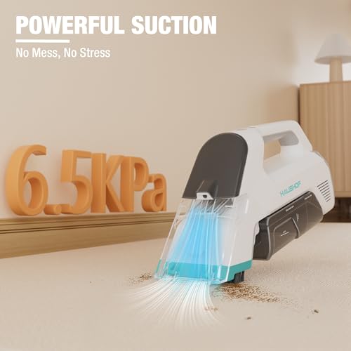Handheld Cordless Carpet Cleaner with 2 Water Tanks R8091