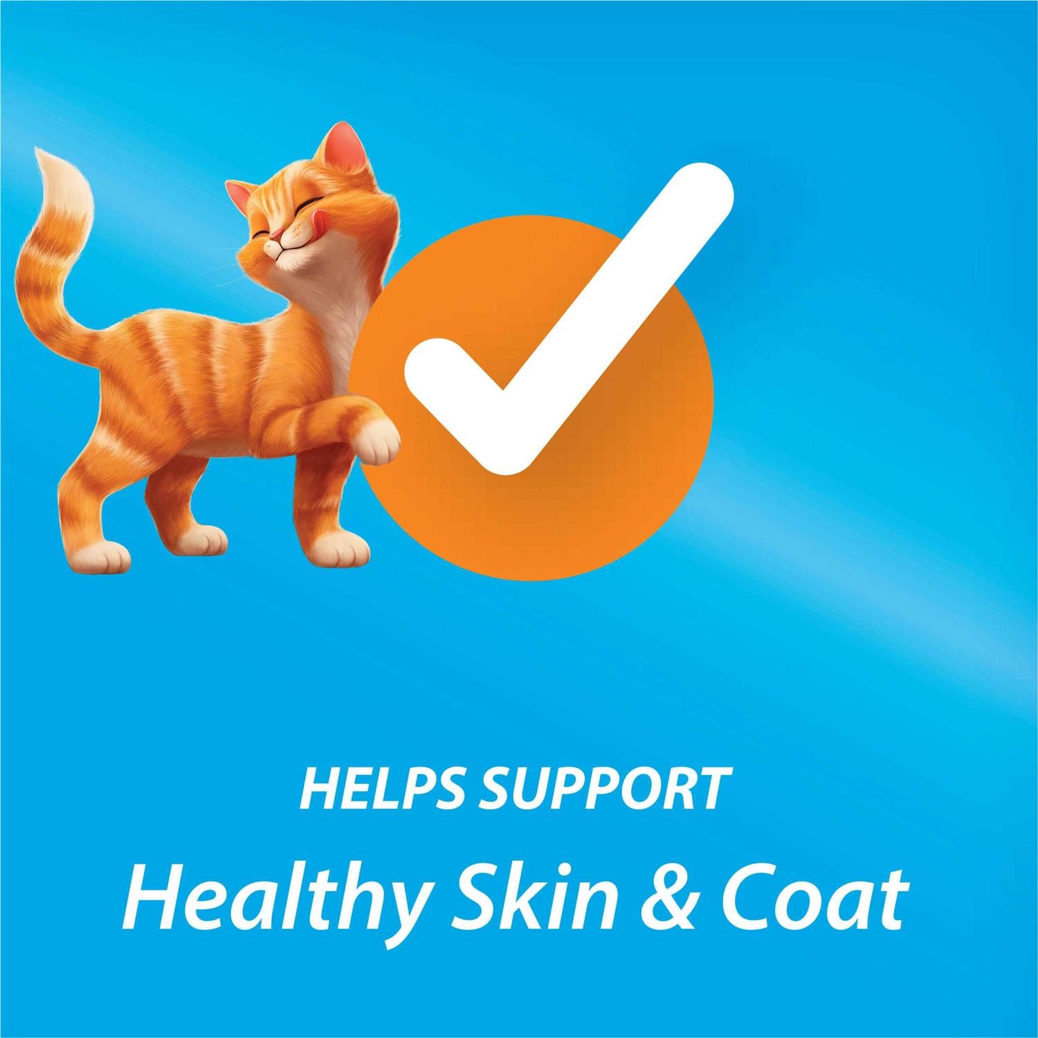 Dry Cat Food Z42008