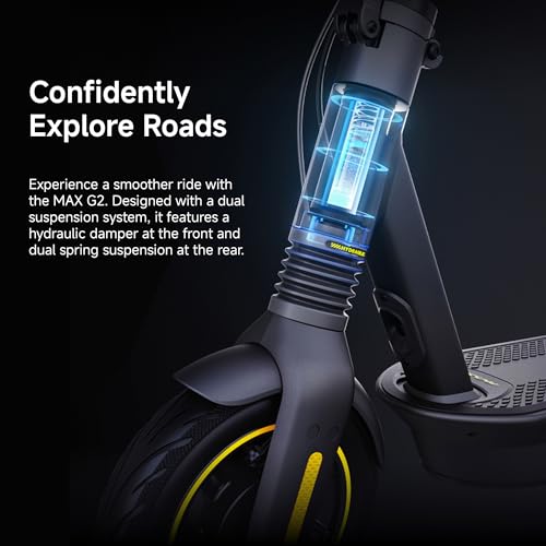 Electric Kick Scooter with Dual Suspension H2838