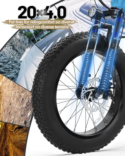 Fat Tire Electric Bike with 20X4.0 Tire, 7-Speed G922