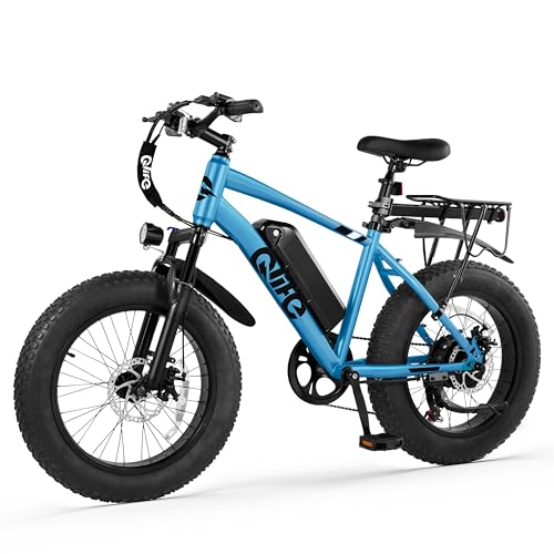 Fat Tire Electric Bike with 20X4.0 Tire, 7-Speed G922
