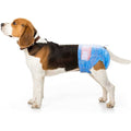 Female Disposable Dog Diapers E5322