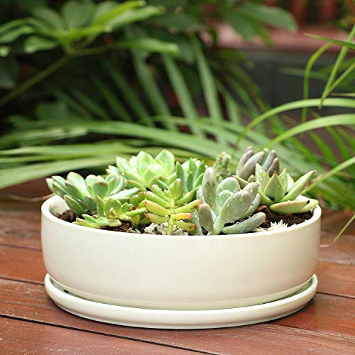 8 inch White Round Ceramic Planter with Removable Saucer Y3815