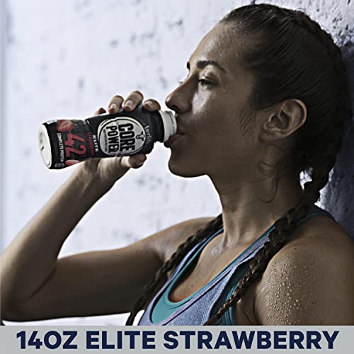 Strawberry 42g High Protein Milk Shake, 14 Fl Oz (2 Packs of 12) K52640