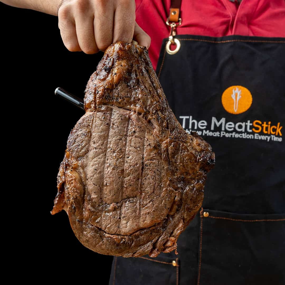 Wireless Meat Thermometer with Bluetooth D8664