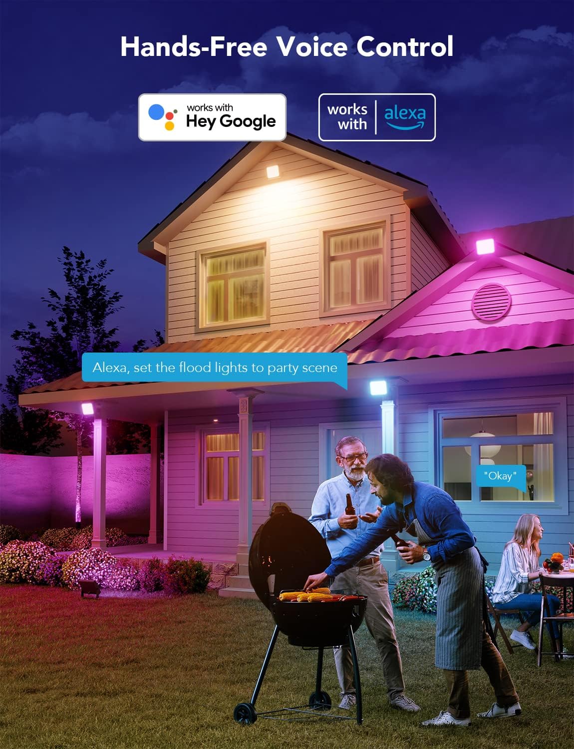2 Pack RGBIC LED Flood Lights T864