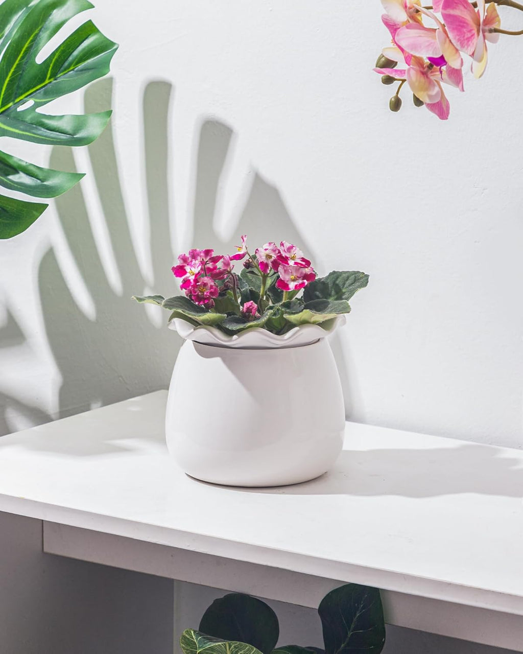 6 Inch Ceramic Self-Watering Plant Pot D29827
