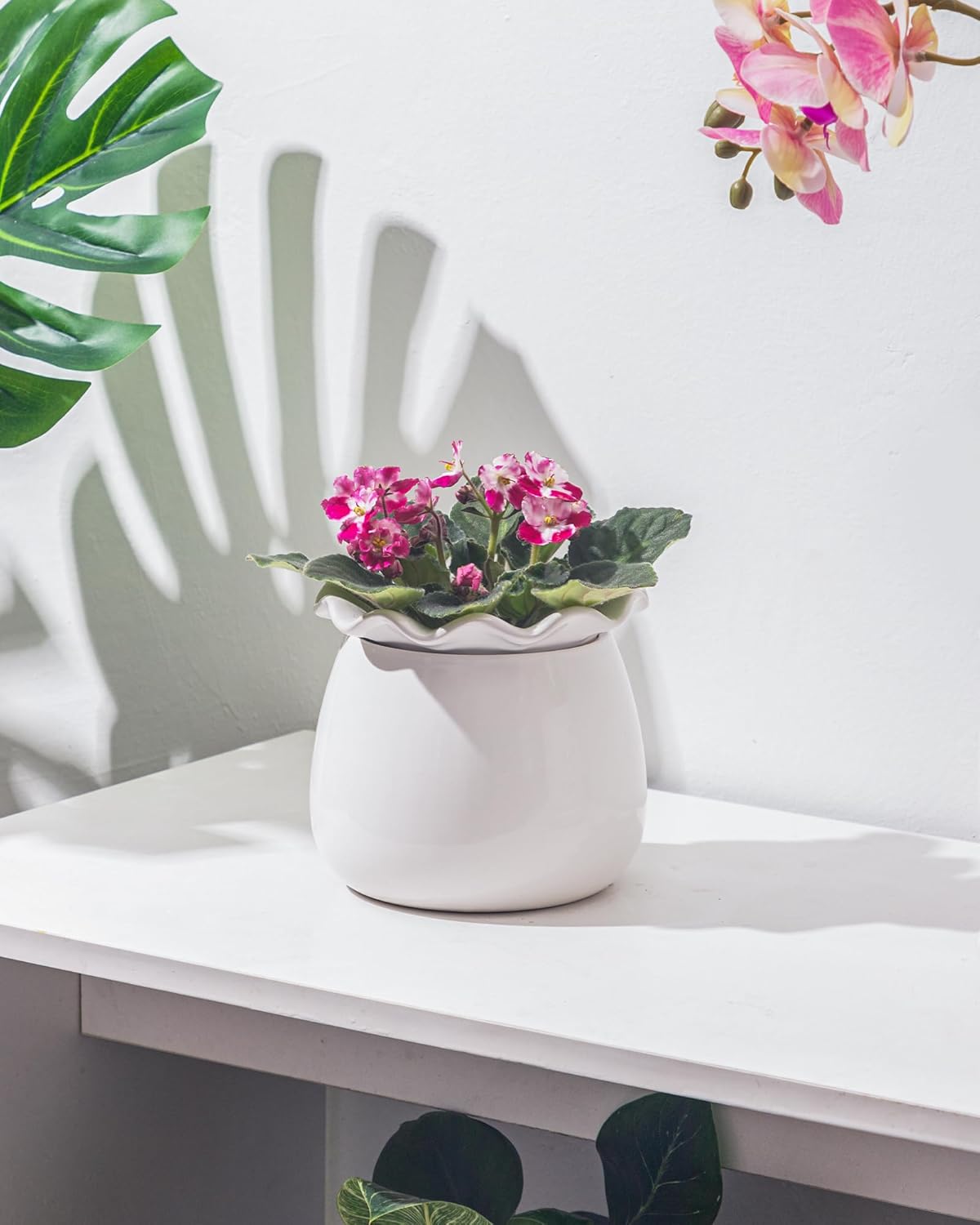 6 Inch Ceramic Self-Watering Plant Pot D29827