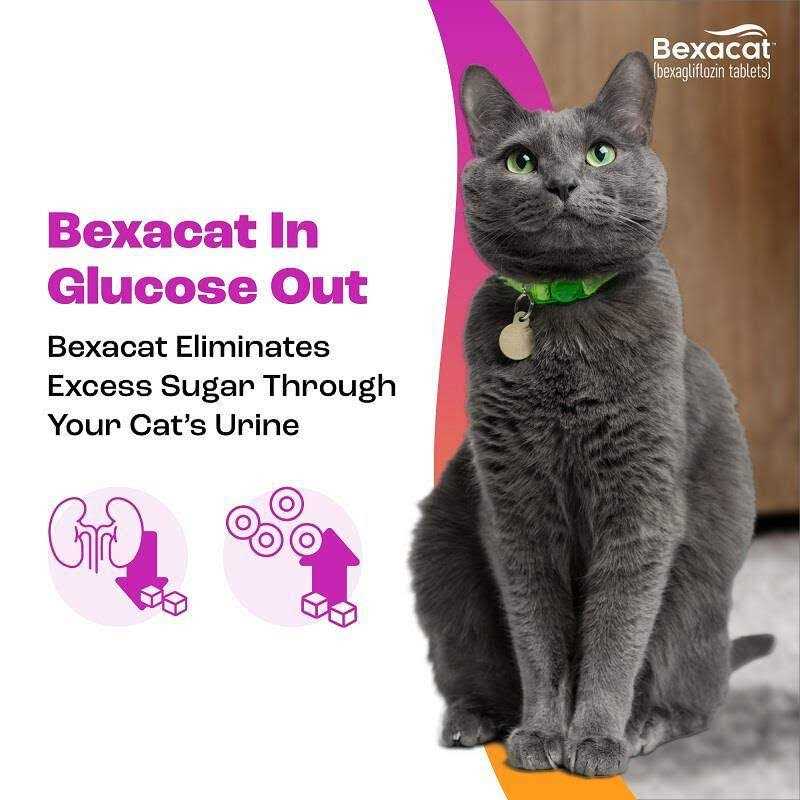 15 mg Cat S16999