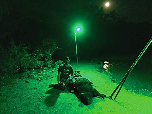 Motion Activated Feeder Light with Remote Control B538688