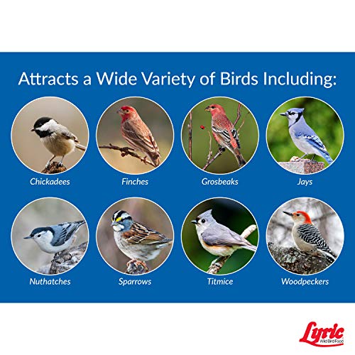 40 lb. Wild Bird Mix Bird Seed W624