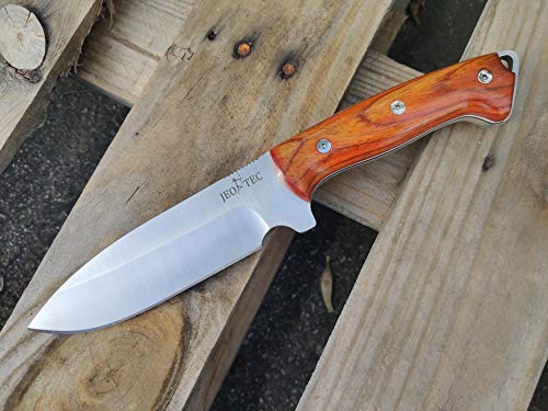 Fixed Blade Full Tang 11" MOVA Stainless Steel Knife with Sheath E512
