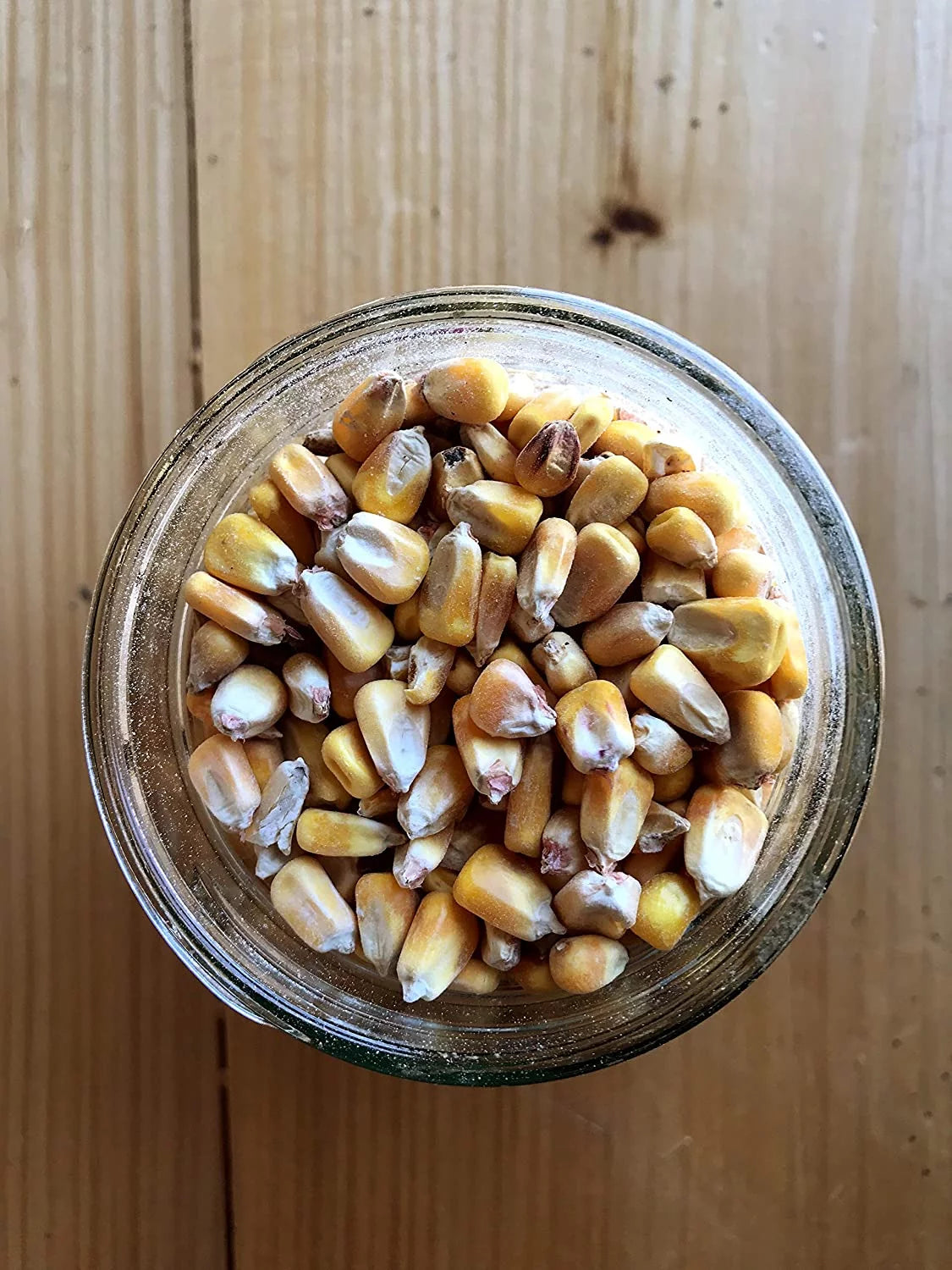 Shelled Corn Non-GMO 50 lb X59022