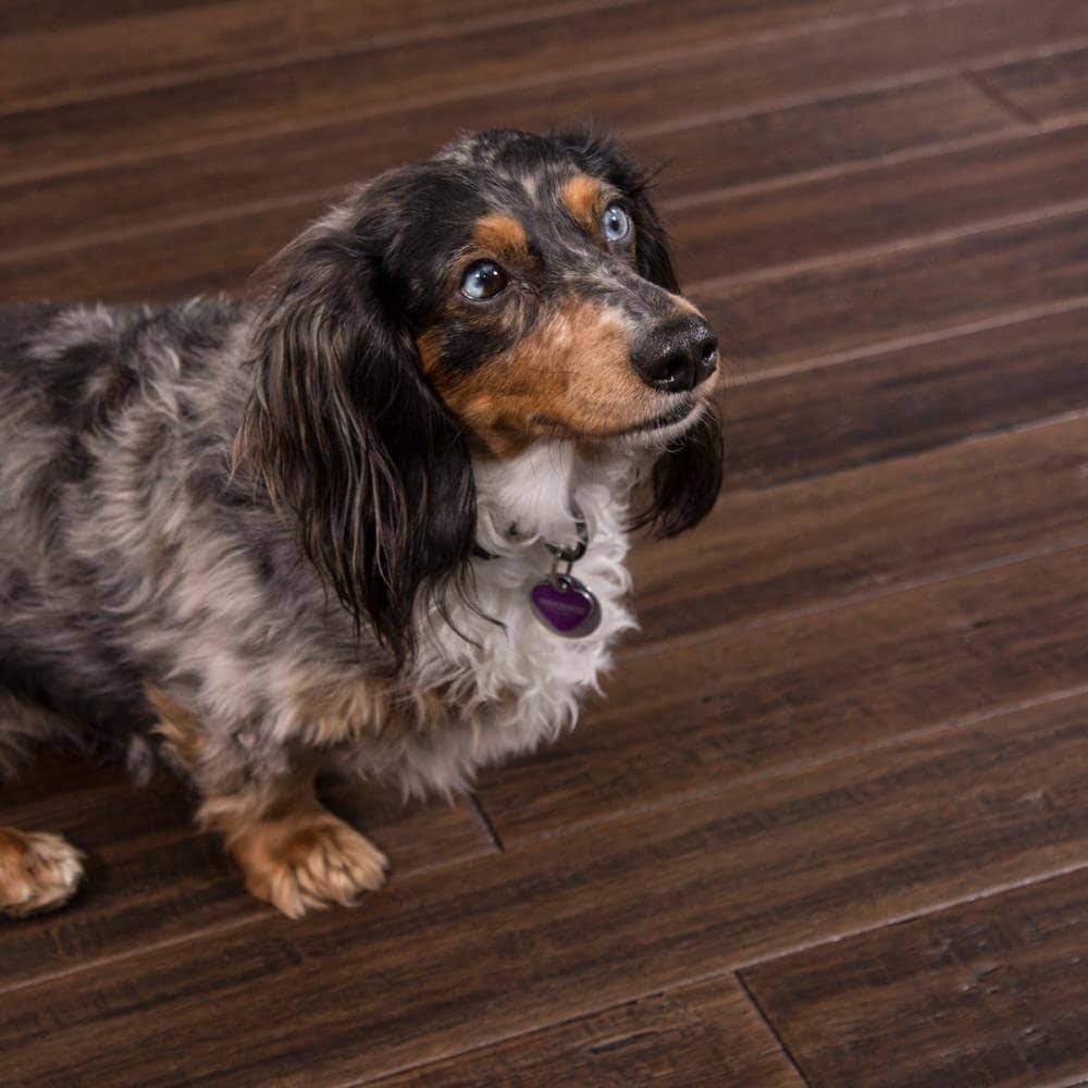 5.31-in Vintage Port Bamboo Handscraped Engineered Hardwood Flooring (21.5-Sq ft) Brown B966881