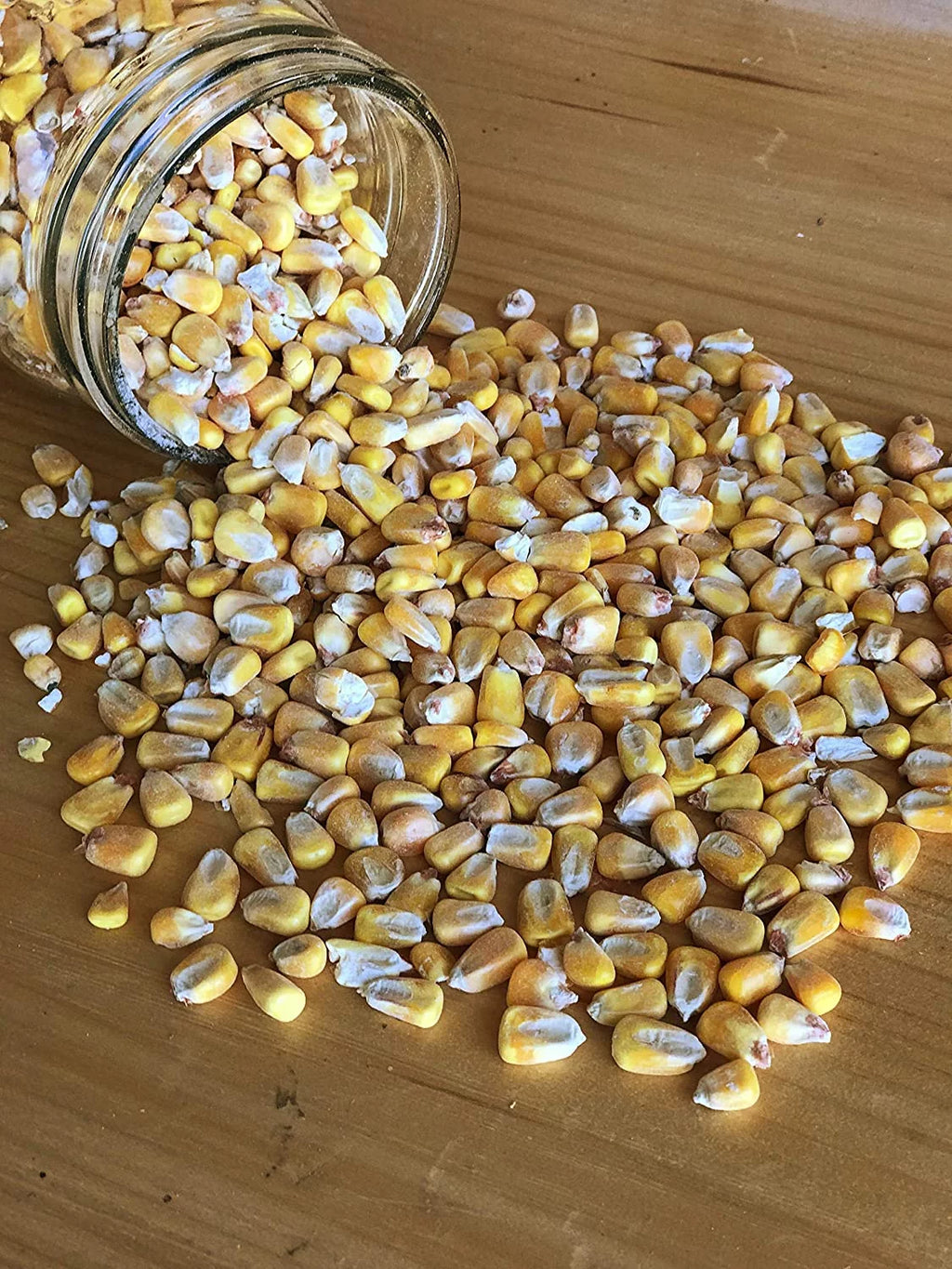 Shelled Corn Non-GMO 50 lb X59022