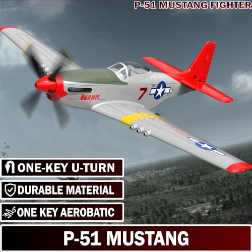Remote Control Aircraft Plane P485