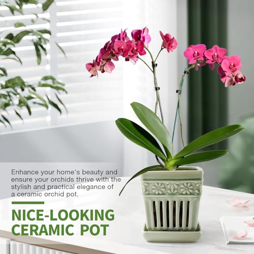 5" Ceramic Orchid Planter with Attached Saucer B92411