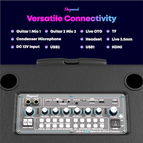 Portable Bluetooth Karaoke Machine with 2 Wireless Microphones G372