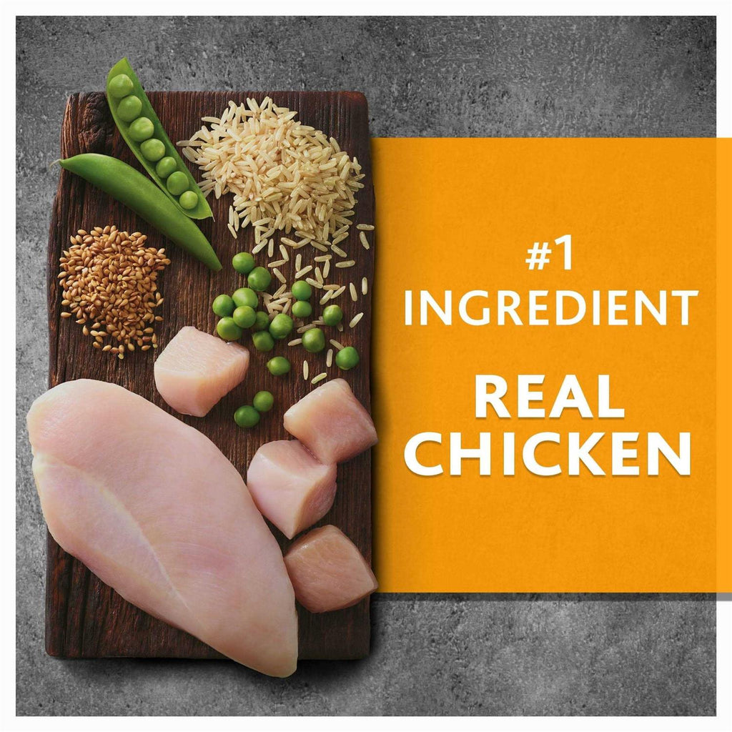 Chicken and Brown Rice Recipe Dry Dog Food V642