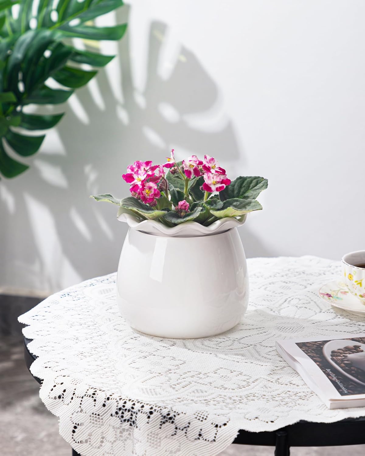 6 Inch Ceramic Self-Watering Plant Pot D29827
