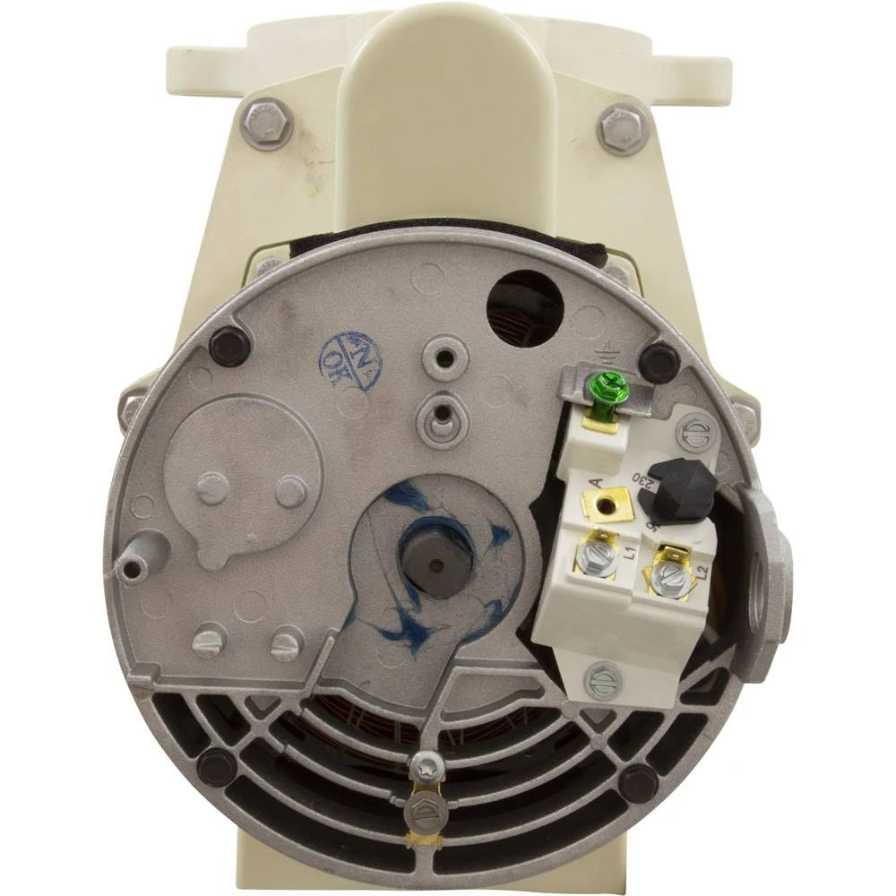 1.5 HP Pool Pump X418