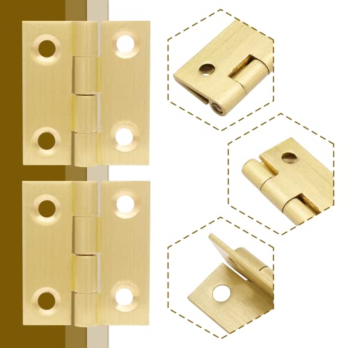 Brass Hinges E41326