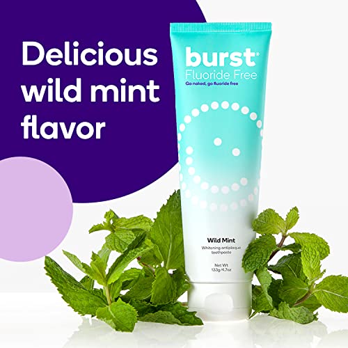4.7oz 2 Pack Wild Mint Fluoride Free Whitening Toothpaste Y742