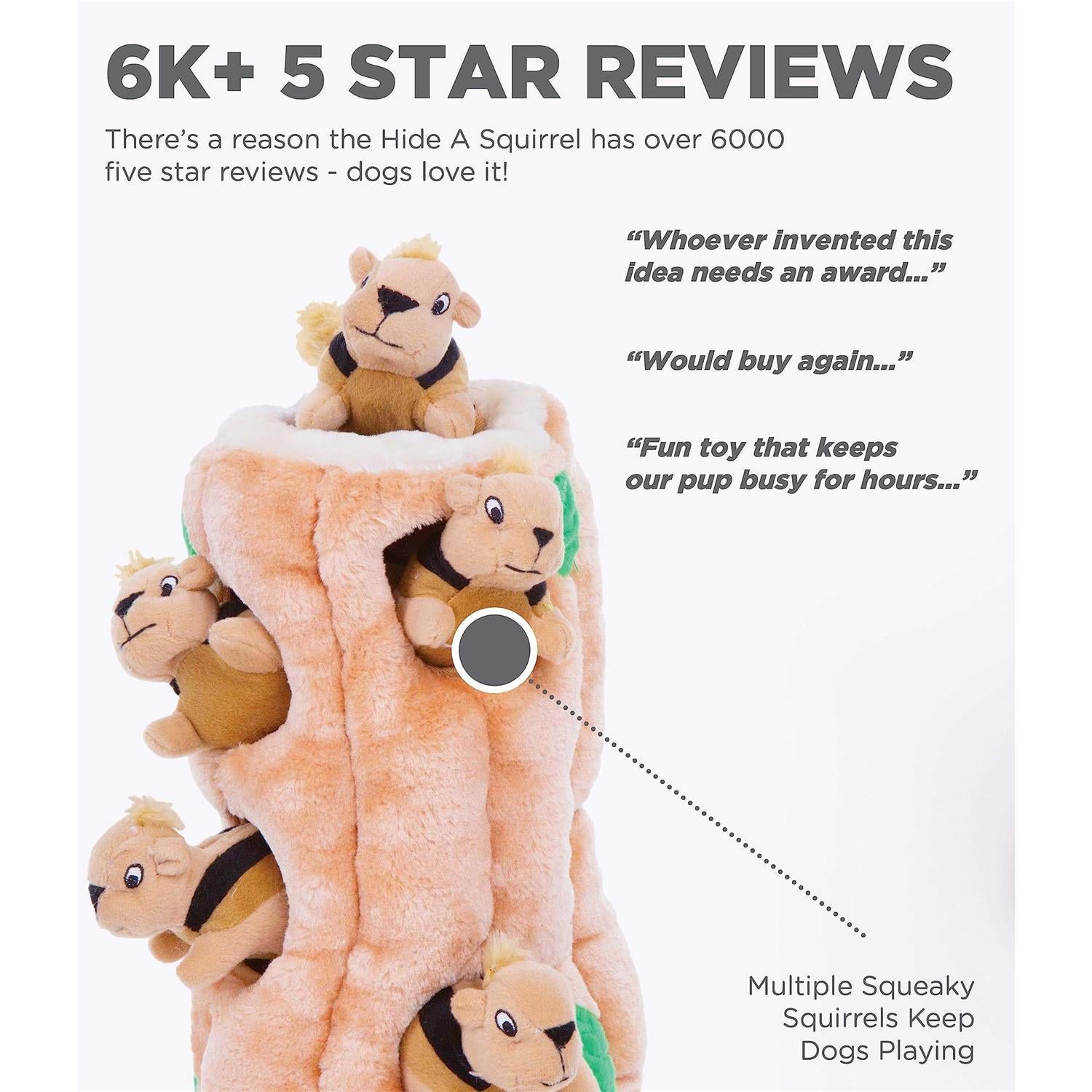 Hide A Squirrel Dog Toy N8249