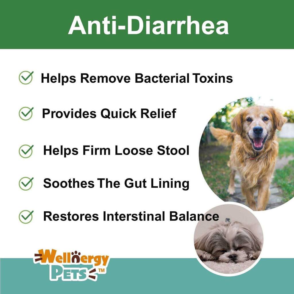 Anti-Diarrhea for Dogs & Cats T79370