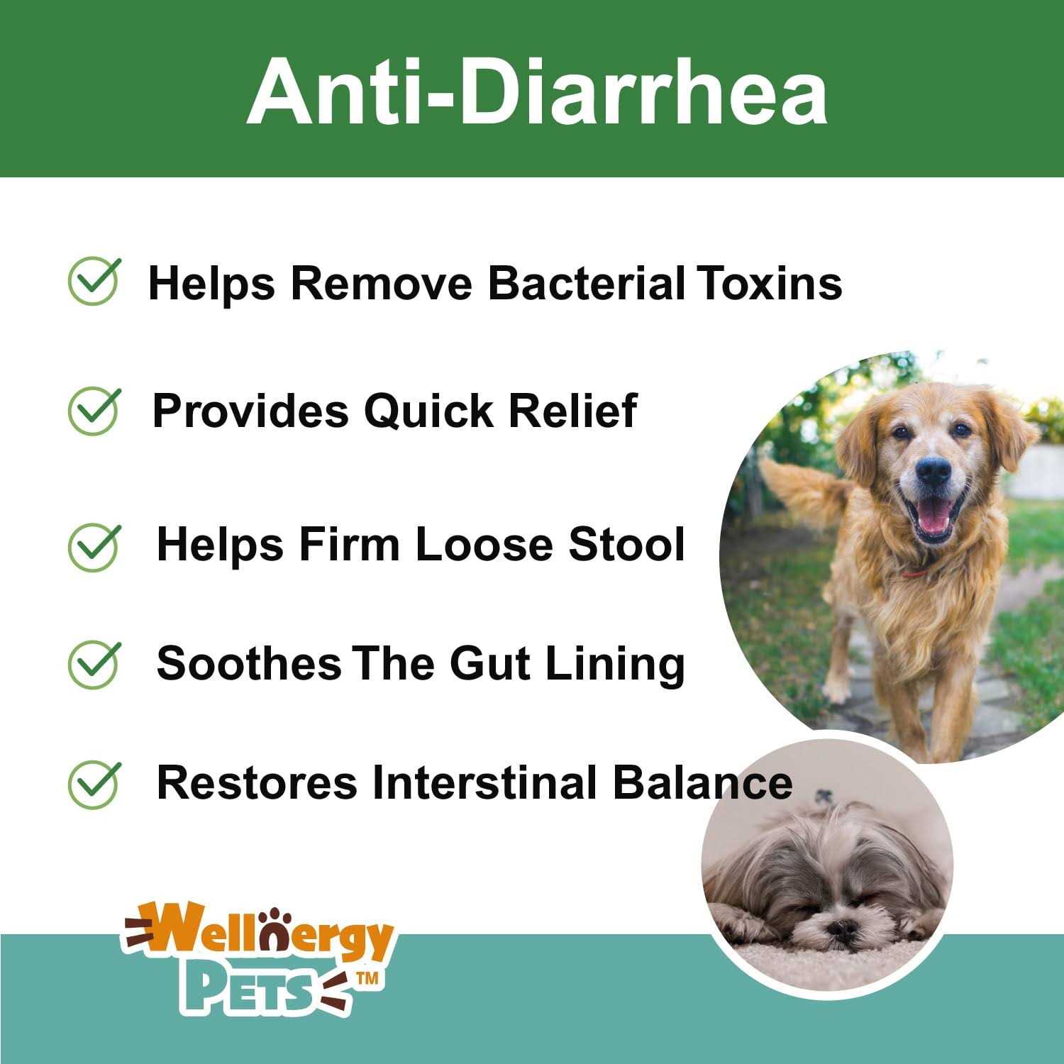 Anti-Diarrhea for Dogs & Cats T79370