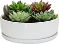 8 inch White Round Ceramic Planter with Removable Saucer Y3815