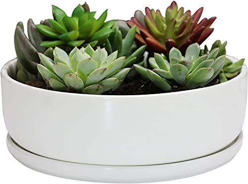 8 inch White Round Ceramic Planter with Removable Saucer Y3815