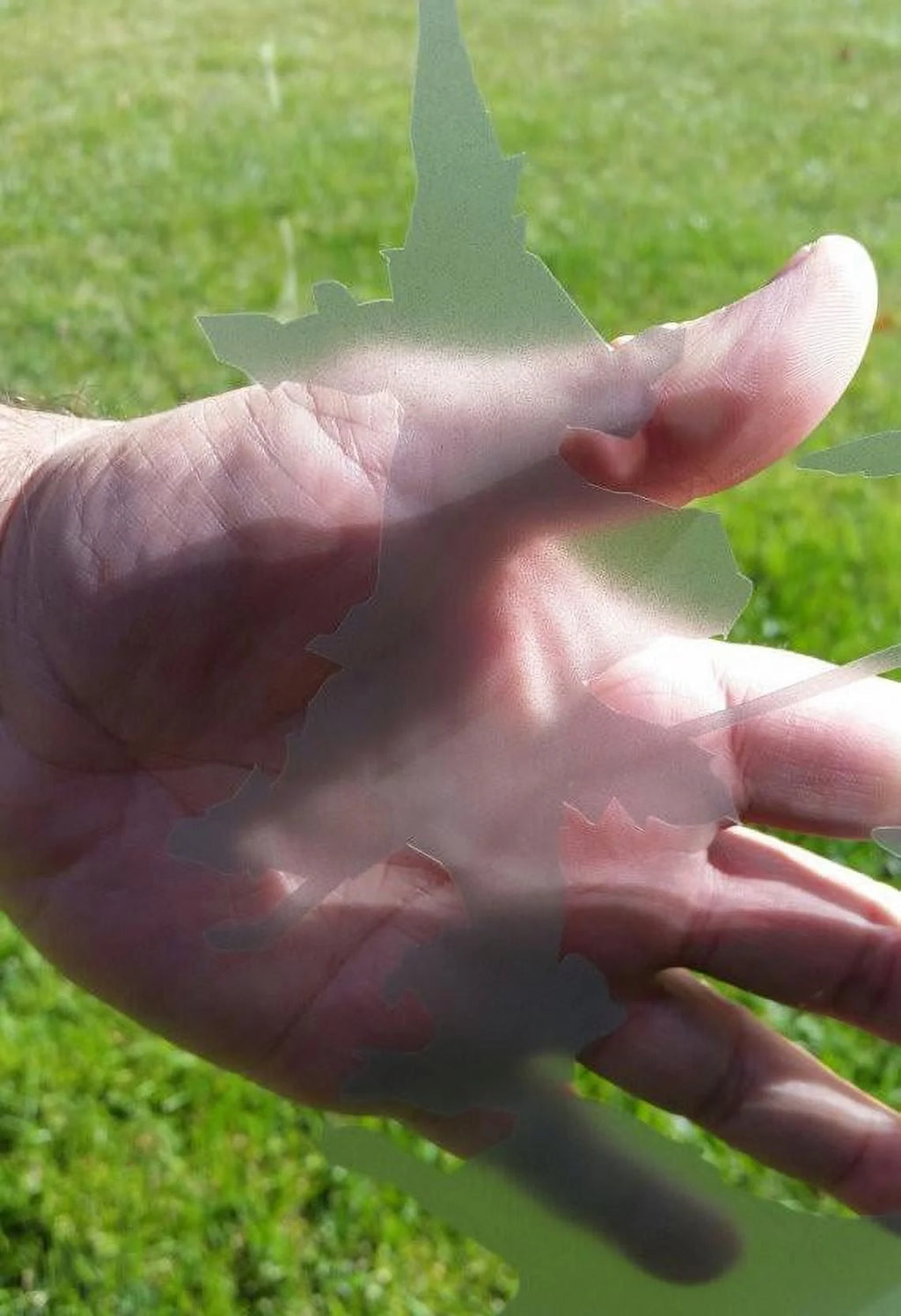 DIY Etched Glass Vinyl Privacy Film O163510