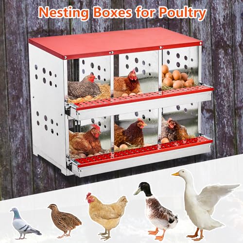 6 Compartment Metal Chicken Nesting Boxes S209