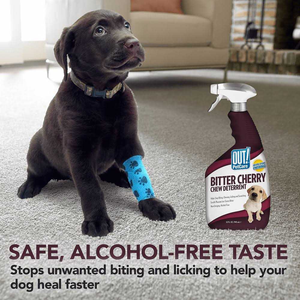Bitter Cherry Dog Chew Deterrent Z77149