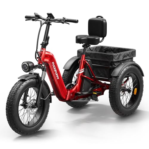 Electric Trike with 750W Motor, 48V 18AH Battery, 20" Fat Tire, Large Basket N68198