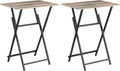 Rustic Brown Black TV Tray Table 2-Piece Portable Tables R212