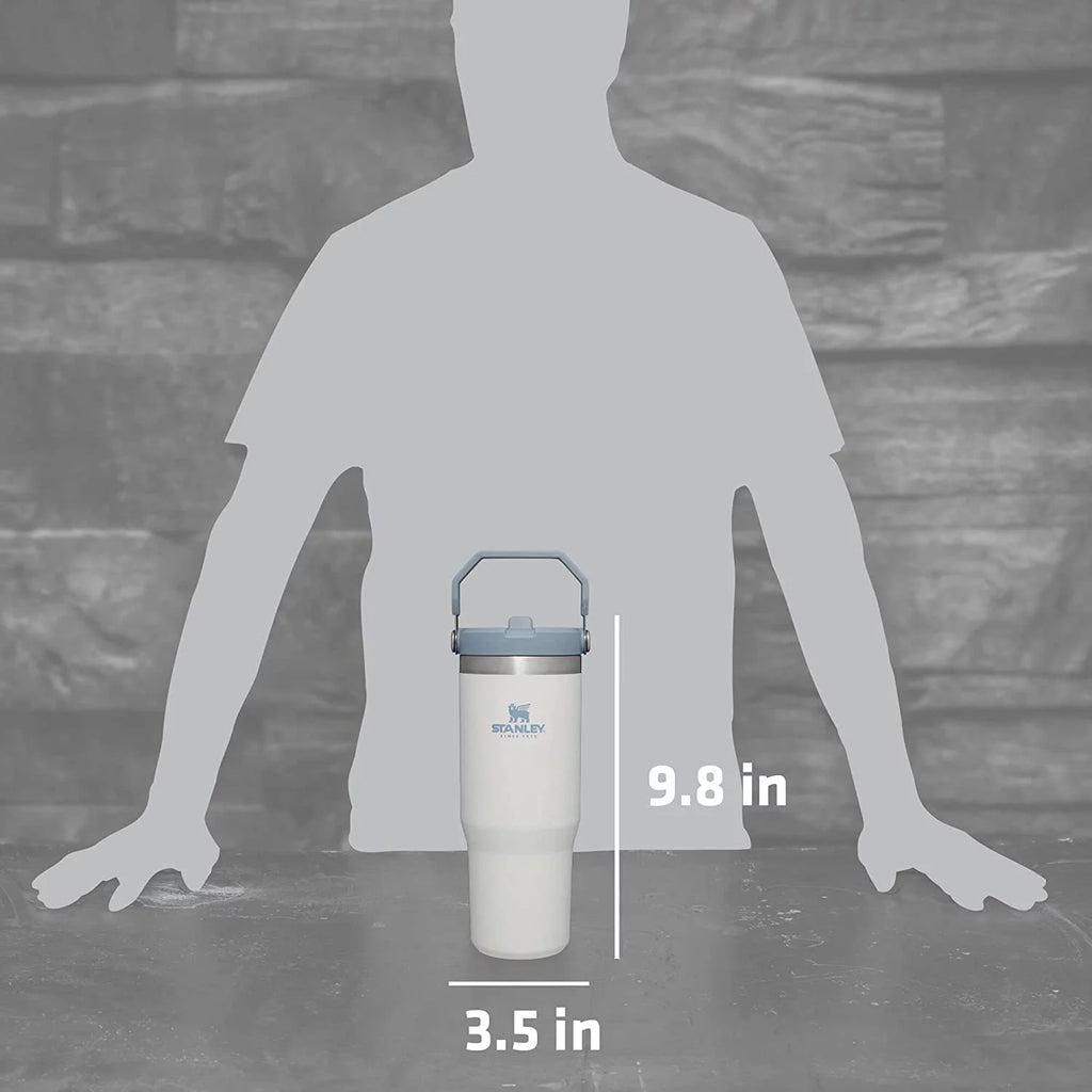30 oz Stainless Steel Tumbler V76657