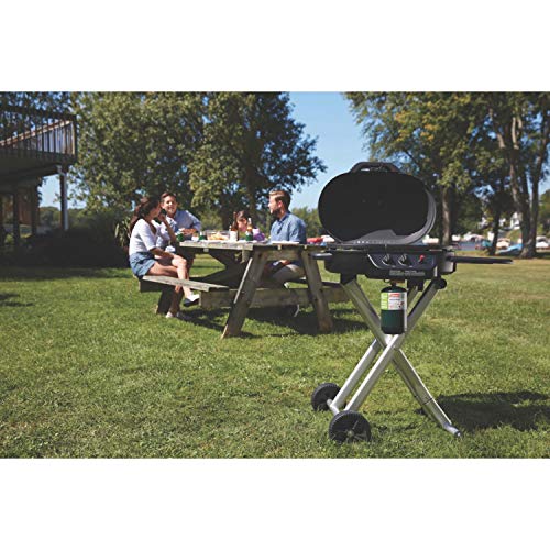 Portable Stand-Up Propane Grill with Push-Button Starter V63058