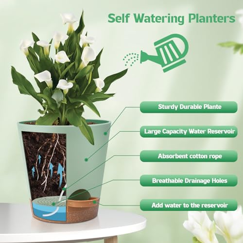 Self Watering Plastic Plant Pots with Drainage Hole and Saucers S777561