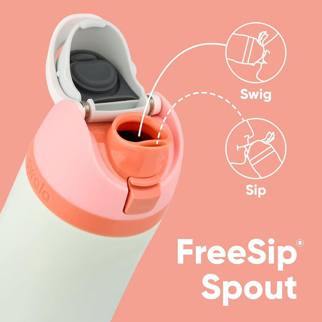 32 Oz Insulated Stainless Steel Water Bottles with Straw, Set of 2 Q331