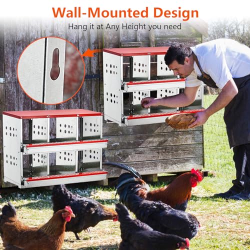 6 Compartment Metal Chicken Nesting Boxes S209