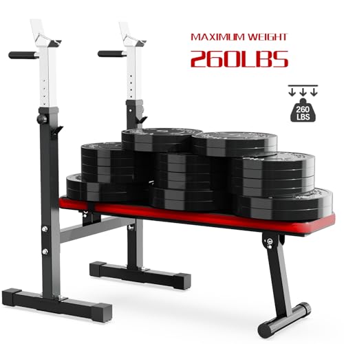 Adjustable Weight Bench Press with Squat Rack Folding Dip Station V135